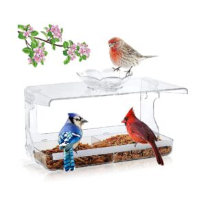 Clear Window Bird Feeder with Non-Marking Self-Adhesive Hooks