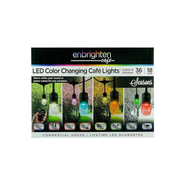 Color Changing LED Cafe Lights with AC Power Source for Outdoor Installations