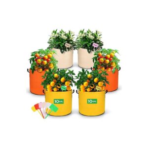 Colorful and Convenient 10 Gallon Plant Grow Bags for Flowers and Fruits