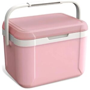 Compact Cooler Box with Insulation and Temperature Monitor