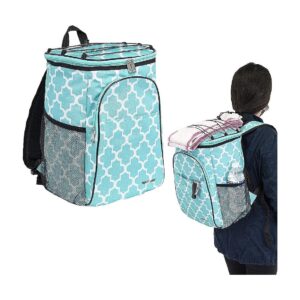 Compact and Practical Cooler Backpack for Moms, Holds Snacks, Baby Bottles, and More