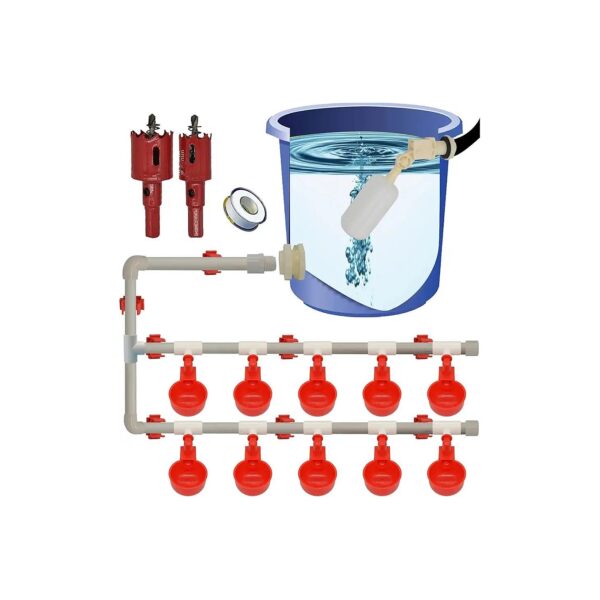 Complete Poultry Watering System with Pipeline and Cups for a Watertight Drinking System