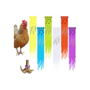 Comprehensive Poultry Leg Identification Kit with 120 Straps