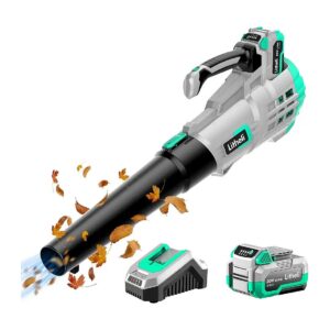 Cordless Leaf Blower for Leaves, Dust, Snow, and Lawn Care, Includes 0Ah Battery