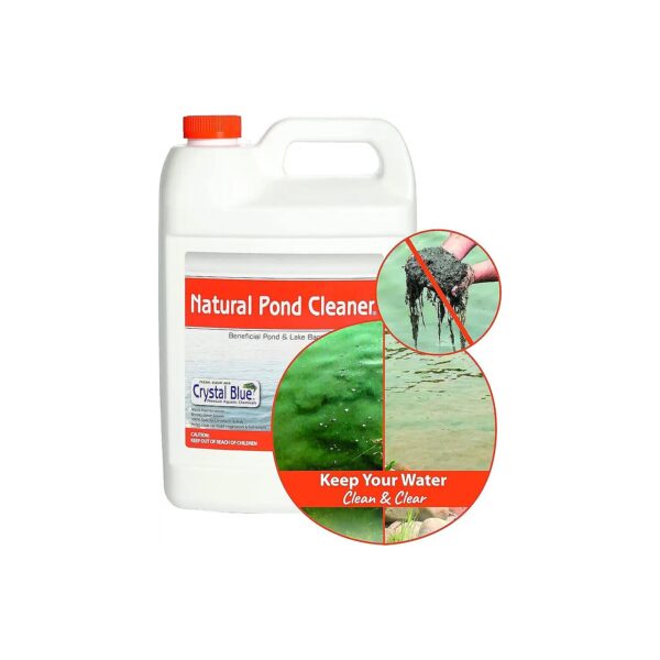 Crystal Clear Pond Water Solution with Natural Pond Bacteria and Odor Remover