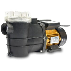 DIY Friendly Swimming Pool Pump with High-Lifting Capacity and Compact Design