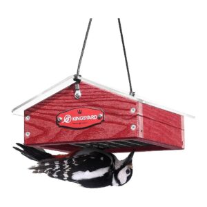 Down Suet Feeder for Woodpeckers Nuthatches and Chickadees with Rainproof Roof