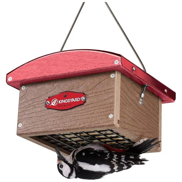 Down Suet Feeder with Metal Roof for Weatherproof Bird Feeding and Attracting Woodpeckers