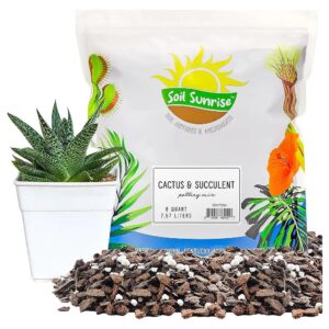 Draining and Nutrient-Rich Potting Mix for Cactus and Succulent Planting - 8 Quarts