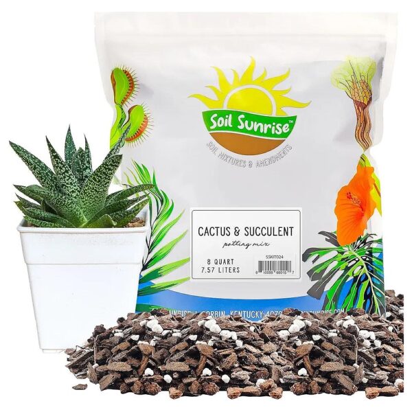 Draining and Nutrient-Rich Potting Mix for Cactus and Succulent Planting - 8 Quarts