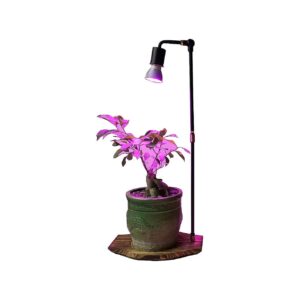 E27 LED Grow Light Desk Table Lamp for Indoor Plants Small Tree Growing