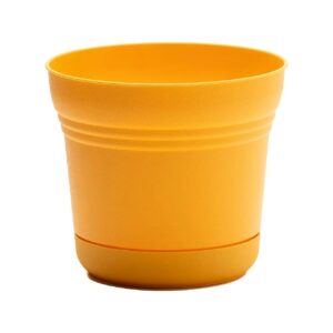 Earthy Yellow Round Planter with Saucer Tray for 3 Gallon Capacity