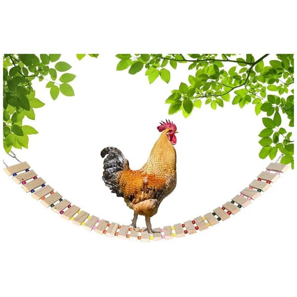 Easy Install Chicken Coop Toys for Pet Hens and Chickens