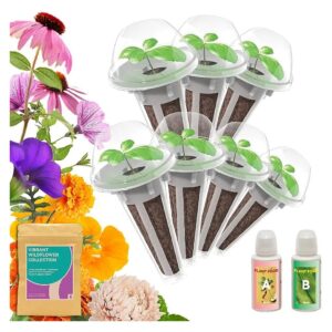 Easy and Healthy Gardening with Wildflower Hydroponic Seeds Kit for Inbloom 5 Pods