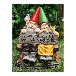 Ebros Exclusive Collection Gnome Couple Statue for Patio Garden