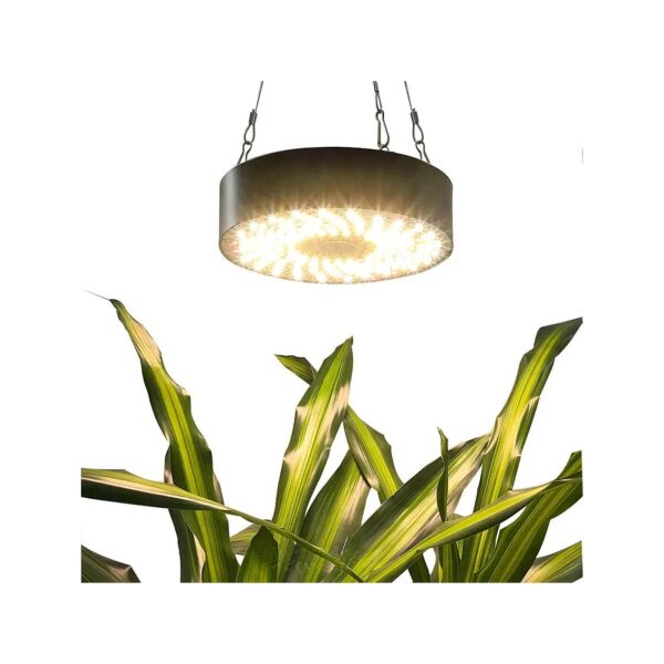 Effective Indoor Plant Growing Solution Full Spectrum LED Hanging Light 2x2 ft Black