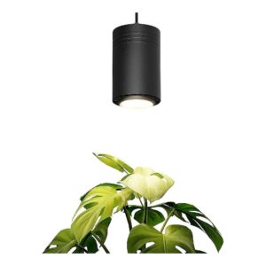 Exclusive Black Luxury LED Grow Light for Medium to Large Houseplants