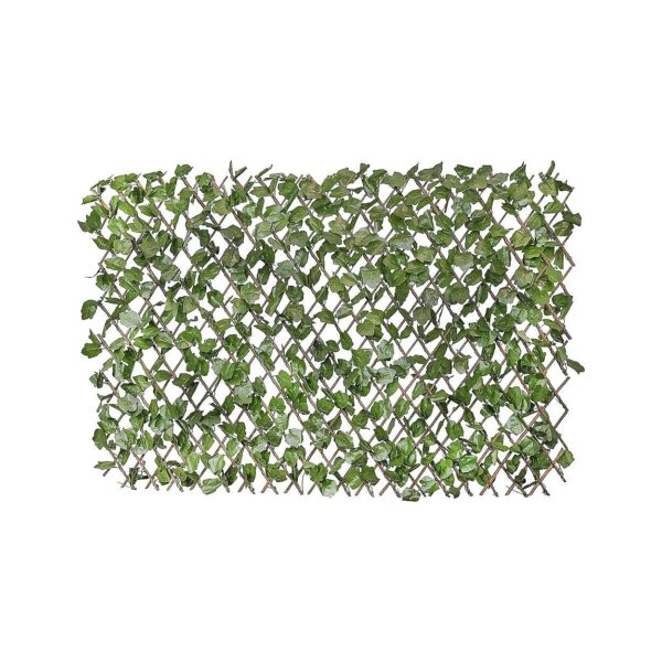 Expandable Ivy Hedge Privacy Screen for Unattractive Yard Areas