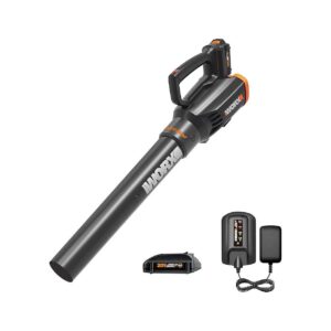 Expandable Power Cordless Leaf Blower with Same Battery for Use with Multiple Tools