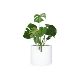 Extra Large White Planter with Drainage Plug for Indoor and Outdoor Plants