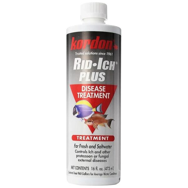 Fast Relief for Aquarium Fish Diseases with Rid Ich Plus