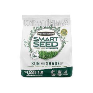 Friendly Grass Seed for Mixed Sun and Shade Lawns with Minimal Maintenance