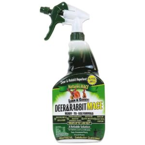 Friendly and Toxic-Free Deer and Rabbit Spray for Your Garden