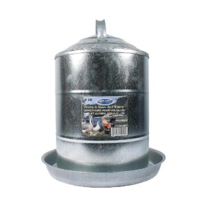 Galvanized Metal Automatic Poultry Fountain Waterer for Chickens 3 Gallon Capacity