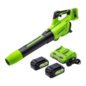 Gas-Like Power without the Hassle of Cords with 48V Axial Leaf Blower