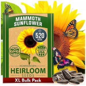 Giant Sunflower Seeds for Home Garden - Vibrant Colors, Easy to Grow, Fresh and Quality