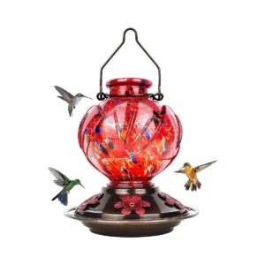 Glass Hummingbird Feeder with 5 Feeding Ports and Perch for Outdoor Hanging