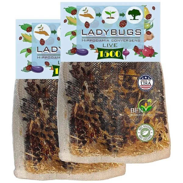 Good Bugs Ladybugs for Garden Pest Control Aphid Feeders 3000 Live Ladybugs