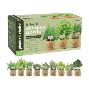 Gourmet Indoor Herb Garden Starter Kit with Seeds for Home Kitchen