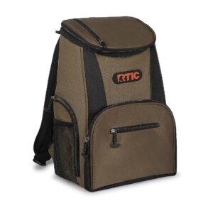 Great for Day Trips and Picnics, This Portable Insulated Cooler Backpack