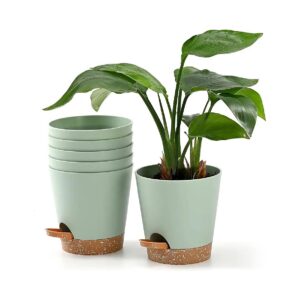 Green 5 inch Self Watering Plant Pots with Watering Lip and Tray for Efficient Gardening