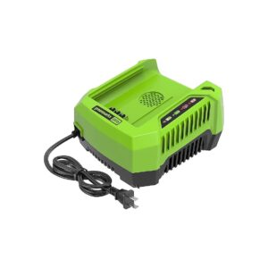 Green 80V Rapid Charger For Efficient Charging