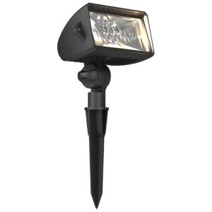 Green Outdoor Floodlight for Garden and Yard Lighting with Low Voltage Design