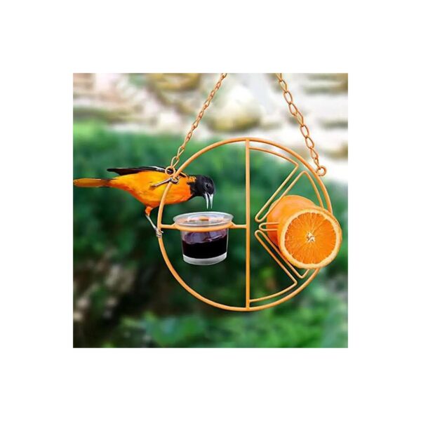 Hanging Bird Feeder with Detached Bowl for Seed and Fruit Feeding