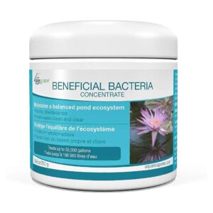 Healthy Pond Water and Fish with Eight Strains of Beneficial Bacteria