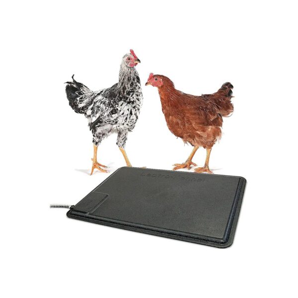 Heated Chicken Pad for Warmth and Comfort of Peeps and Chickens