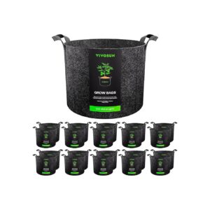 Heavy Duty Black 2 Gallon Grow Bags for Fresh Fruits and Vegetables