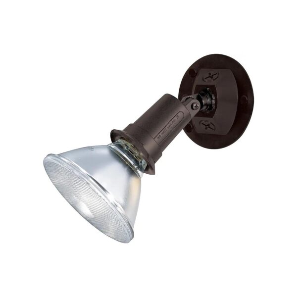 Heavy Duty Cast Aluminum Bronze Finish Outdoor Floodlight for Secure Illumination