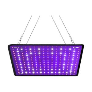 High Output 600W Full Spectrum LED Indoor Plant Grow Light for Seed Starting Seedlings