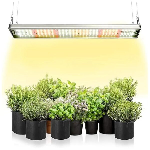 High-Performance LED Grow Light with 5000K and 3000K Diodes for Balanced Plant Growth