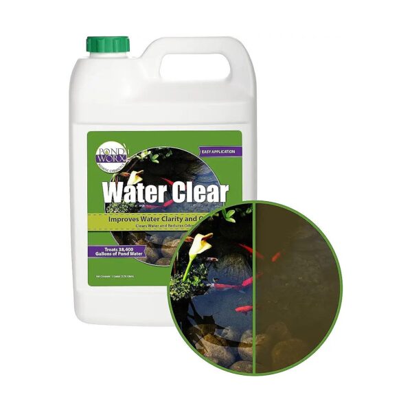 Improve Pond Water Clarity and Quality with 1 Gallon Treatment