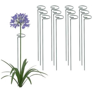 Inch Plant Support Stakes for Amaryllis Orchid Lily Roses Tomatoes Gladiolus