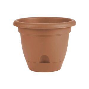 Inch Tall Terra Cotta Planter with Built-in Water Storage