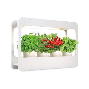 Indoor Herb Garden Kit with LED Grow Light and Timer for Beginner Planters