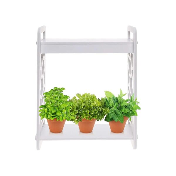 Indoor Herb Garden Kit with LED Light Timer and Hexagon Planter for Healthy Plant Growth