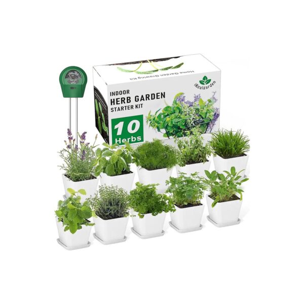 Indoor Herb Garden Starter Kit with Complete Growing Kit and 10 Variety Herbs for Kitchen